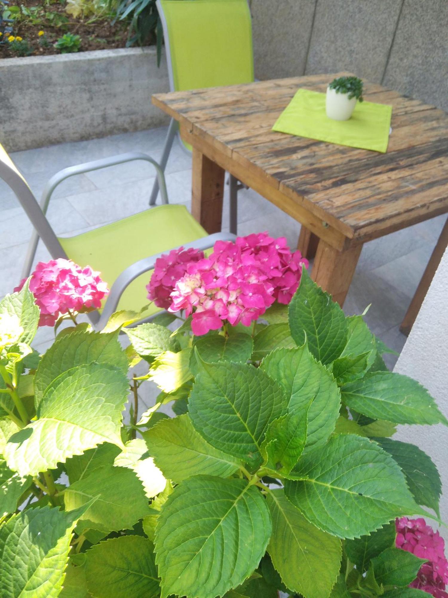 Appartement Anny